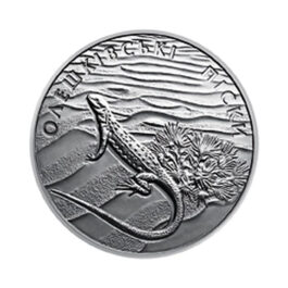 Coin Ukraine 2015 #19 OLESHKY SANDS