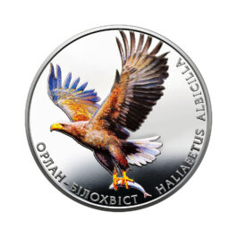 Coin Ukraine 2019 #10 The White-Tailed Eagle